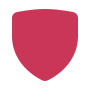 Safety Icon